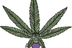 Willy Weed